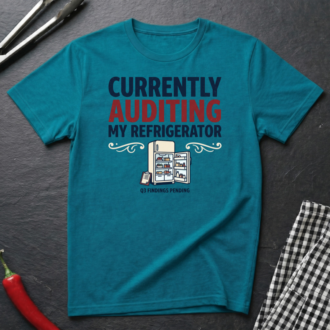 Auditing My Refrigerator T-Shirt